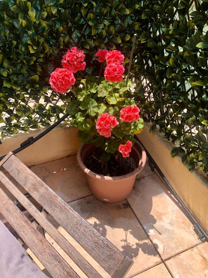 Mon Appart Avec Terrasse Et Piscine ロクブリュヌ＝カップ＝マルタン エクステリア 写真